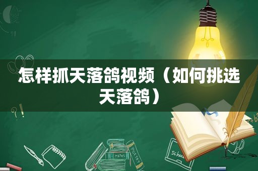 怎样抓天落鸽视频（如何挑选天落鸽）