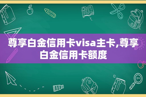 尊享白金信用卡visa主卡,尊享白金信用卡额度