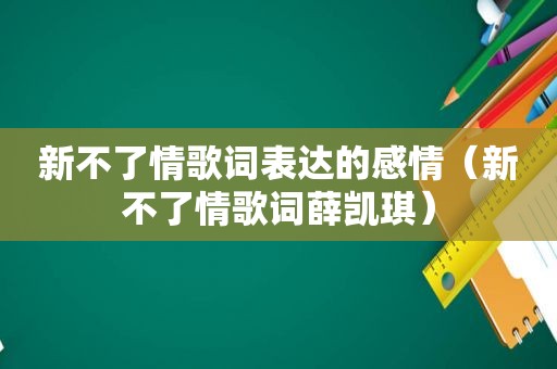 新不了情歌词表达的感情（新不了情歌词薛凯琪）