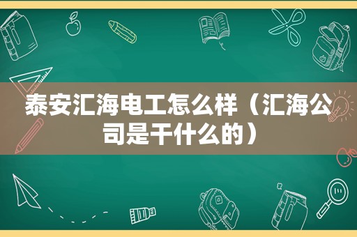 泰安汇海电工怎么样（汇海公司是干什么的）