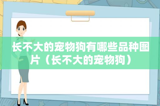 长不大的宠物狗有哪些品种图片（长不大的宠物狗）