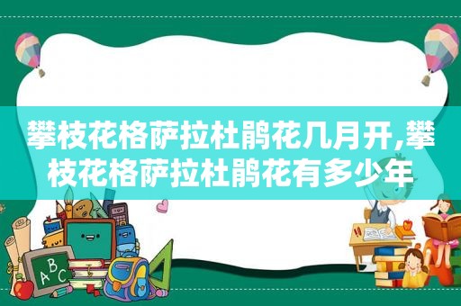 攀枝花格萨拉杜鹃花几月开,攀枝花格萨拉杜鹃花有多少年