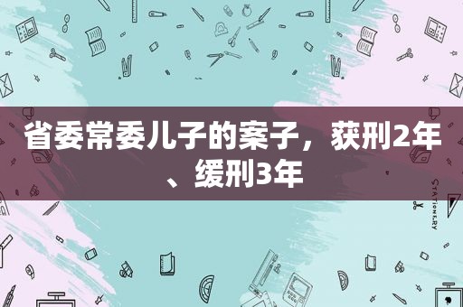 省委常委儿子的案子，获刑2年、缓刑3年