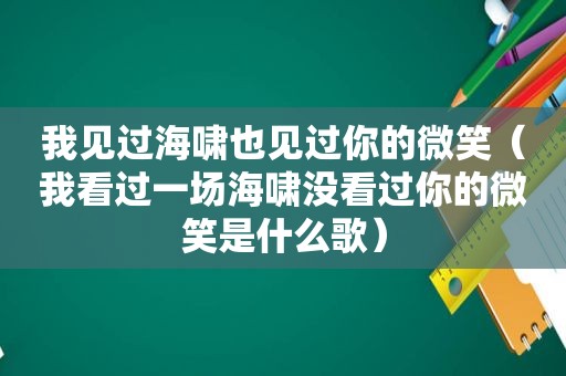 我见过海啸也见过你的微笑（我看过一场海啸没看过你的微笑是什么歌）