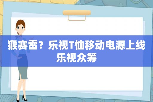 猴赛雷？乐视T恤移动电源上线乐视众筹