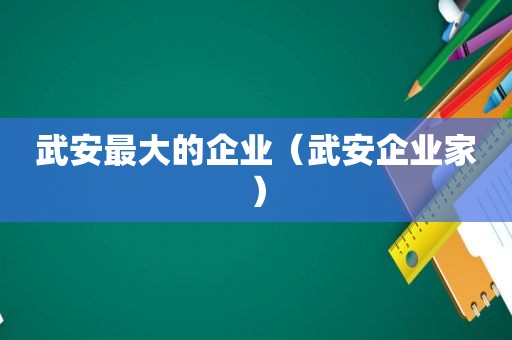 武安最大的企业（武安企业家）