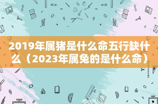 2019年属猪是什么命五行缺什么（2023年属兔的是什么命）