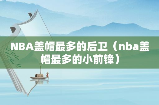 NBA盖帽最多的后卫（nba盖帽最多的小前锋）