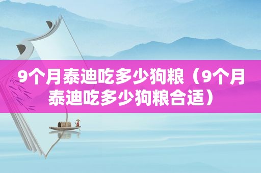 9个月泰迪吃多少狗粮（9个月泰迪吃多少狗粮合适）