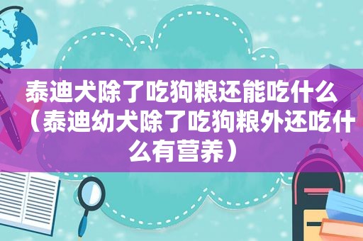 泰迪犬除了吃狗粮还能吃什么（泰迪幼犬除了吃狗粮外还吃什么有营养）