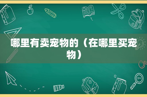 哪里有卖宠物的（在哪里买宠物）