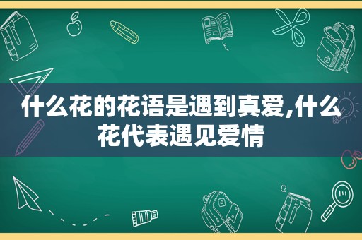 什么花的花语是遇到真爱,什么花代表遇见爱情