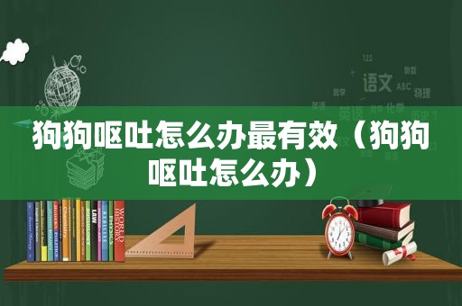 狗狗呕吐怎么办最有效（狗狗呕吐怎么办）