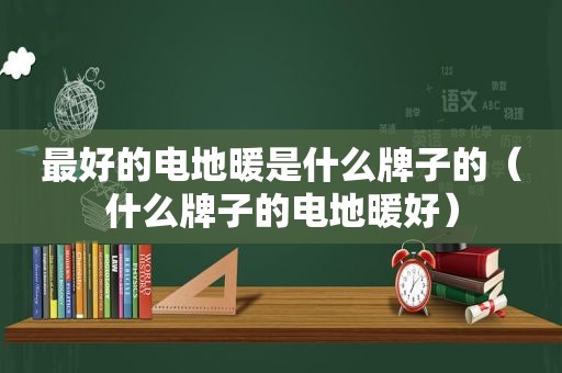 最好的电地暖是什么牌子的（什么牌子的电地暖好）