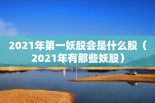 2021年第一妖股会是什么股（2021年有那些妖股）