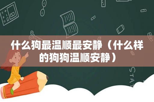 什么狗最温顺最安静（什么样的狗狗温顺安静）