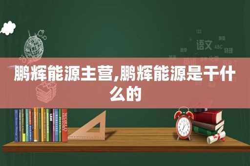 鹏辉能源主营,鹏辉能源是干什么的