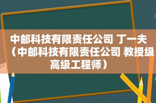 中邮科技有限责任公司 丁一夫（中邮科技有限责任公司 教授级高级工程师）