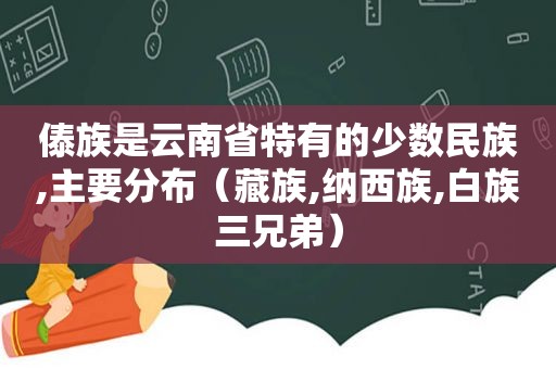 傣族是云南省特有的少数民族,主要分布（藏族,纳西族,白族三兄弟）