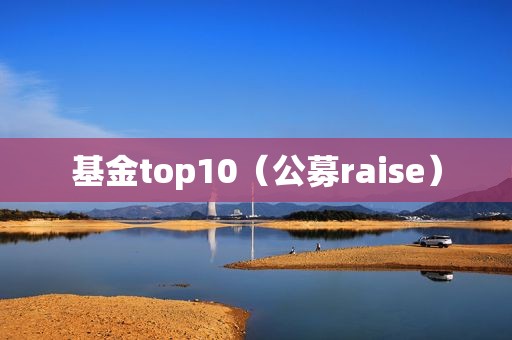 基金top10（公募raise）