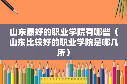 山东最好的职业学院有哪些（山东比较好的职业学院是哪几所）