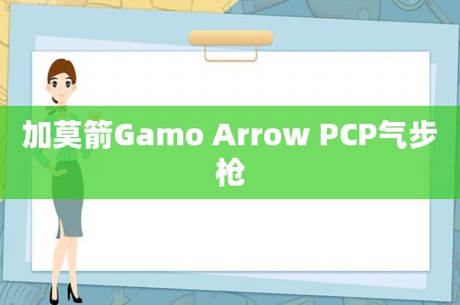 加莫箭Gamo Arrow PCP气步枪