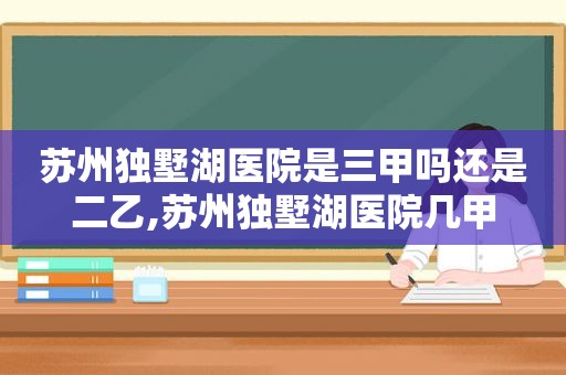 苏州独墅湖医院是三甲吗还是二乙,苏州独墅湖医院几甲