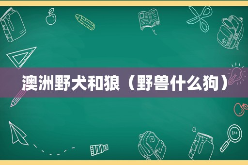 澳洲野犬和狼（野兽什么狗）