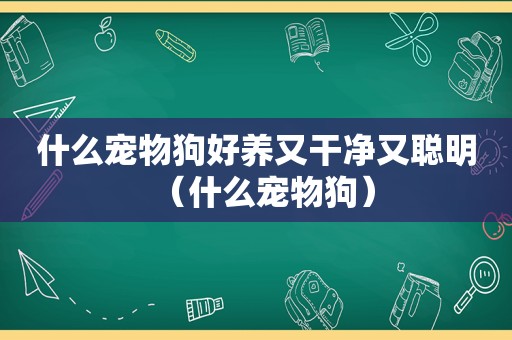 什么宠物狗好养又干净又聪明（什么宠物狗）