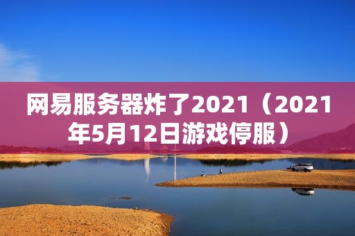 网易服务器炸了2021（2021年5月12日游戏停服）