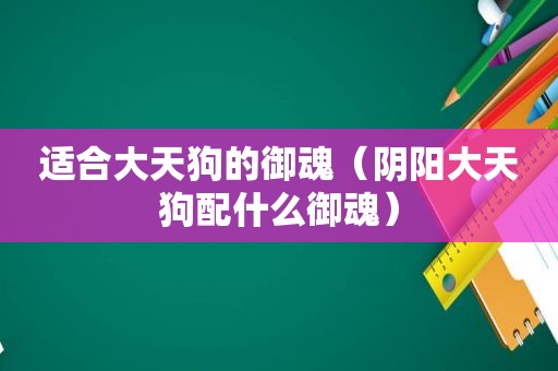 适合大天狗的御魂（阴阳大天狗配什么御魂）