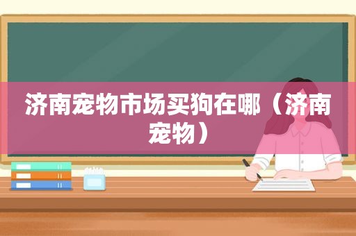 济南宠物市场买狗在哪（济南宠物）