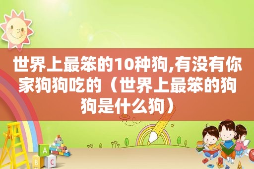 世界上最笨的10种狗,有没有你家狗狗吃的（世界上最笨的狗狗是什么狗）