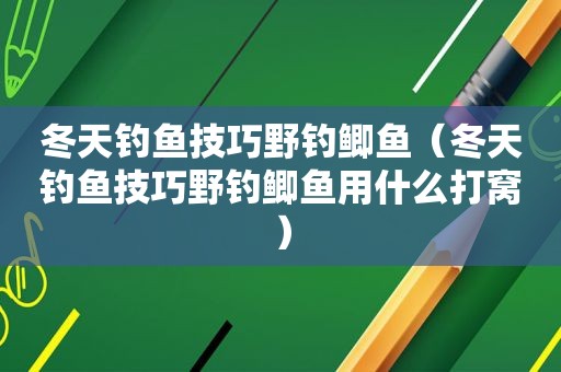 冬天钓鱼技巧野钓鲫鱼（冬天钓鱼技巧野钓鲫鱼用什么打窝）