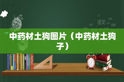 中药材土狗图片（中药材土狗子）