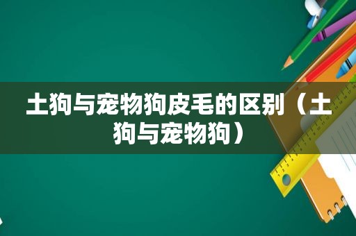 土狗与宠物狗皮毛的区别（土狗与宠物狗）