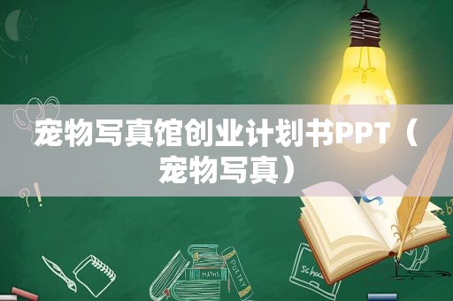 宠物 *** 馆创业计划书PPT（宠物 *** ）