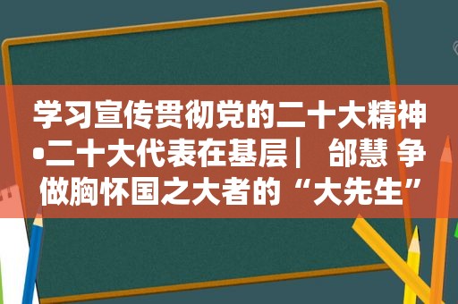 学习宣传贯彻党的二十大精神•二十大代表在基层 ▏邰慧 争做胸怀国之大者的“大先生”