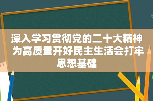 深入学习贯彻党的二十大精神 为高质量开好民主生活会打牢思想基础