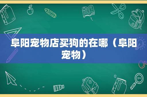 阜阳宠物店买狗的在哪（阜阳宠物）  第1张