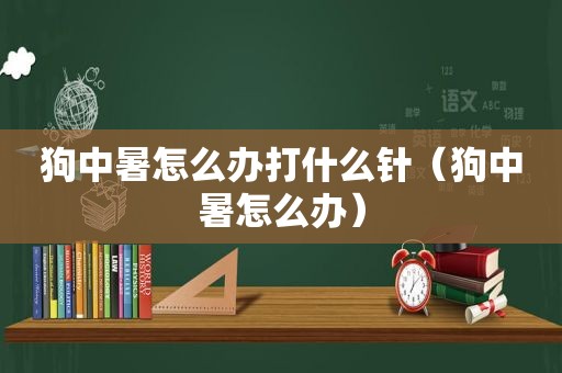 狗中暑怎么办打什么针（狗中暑怎么办）