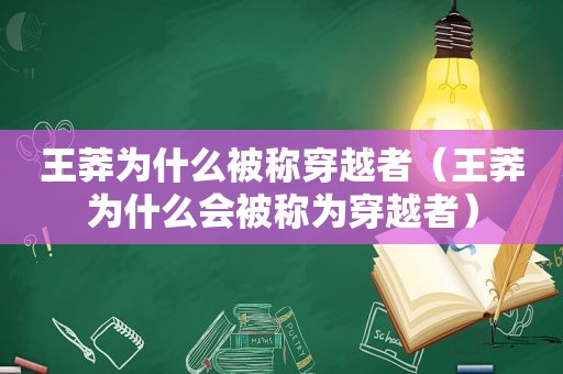 王莽为什么被称穿越者（王莽为什么会被称为穿越者）