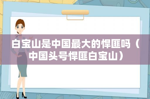 白宝山是中国最大的悍匪吗（中国头号悍匪白宝山）