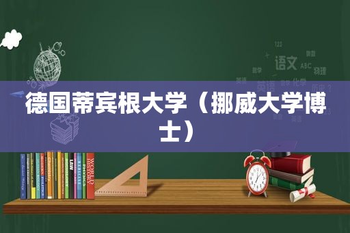 德国蒂宾根大学（挪威大学博士）