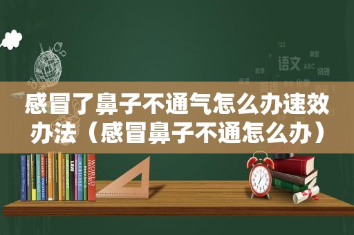 感冒了鼻子不通气怎么办速效办法（感冒鼻子不通怎么办）