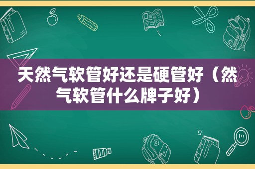 天然气软管好还是硬管好（然气软管什么牌子好）