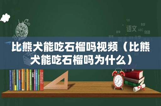 比熊犬能吃石榴吗视频（比熊犬能吃石榴吗为什么）