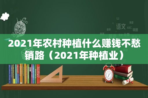 2021年农村种植什么赚钱不愁销路（2021年种植业）