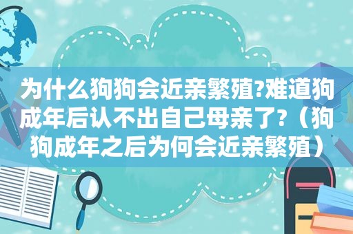 为什么狗狗会近亲繁殖?难道狗成年后认不出自己母亲了?（狗狗成年之后为何会近亲繁殖）