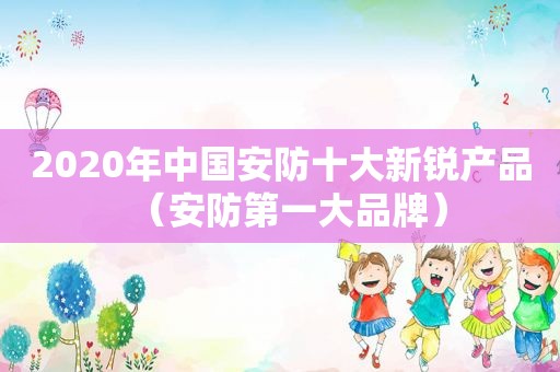 2020年中国安防十大新锐产品（安防第一大品牌）